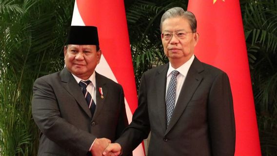 President Prabowo Meets Chairman Of China's National People's Congress Zhao Leji