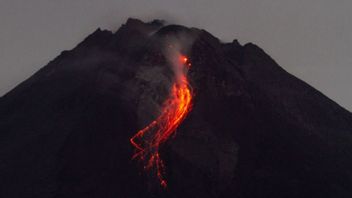 Status Still On Standby, Mount Merapi Launches 23 Incandescent Lava Falls This Morning