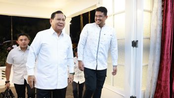 Prabowo Sambangi Anak-Mantu Jokowi di Solo dan Medan, Gerindra Minta Jangan Dikaitkan dengan Manuver Politik