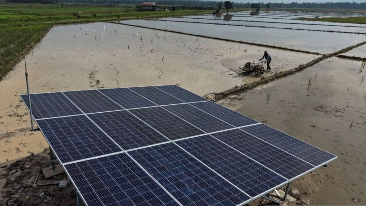 Panel Surya RI hingga India Dikenakan Tarif Seratusan Persen oleh AS