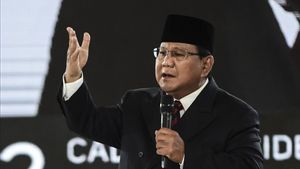 Prabowo Mau Tutup 1.000 Tambang Timah Ilegal di Bangka Belitung