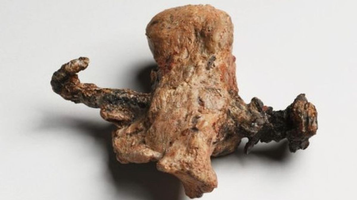 New Study Reveals The Linkage Of Nails Found In Caiaphas Cave To Jesus' Crucifixion