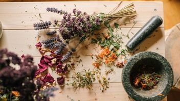 Ketahui 4 Jenis Tanaman Herbal untuk Atasi Kulit Gatal 