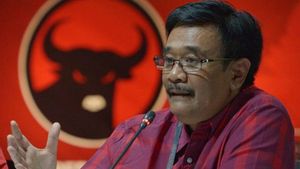 Djarot Saiful Hidayat Bantah Bupati Novi Rahman Hidayat Kader PDIP: Ngaku-ngaku Gitu Lho!