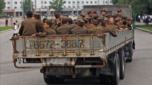 South Korean Intelligence Service Confirms Ukrainian Arrest Of North Korean Soldiers