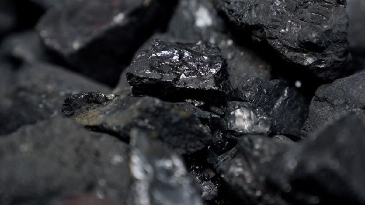 Avant la clôture de l’année, le prix du charbon a atteint 117 dollars américains par tonne