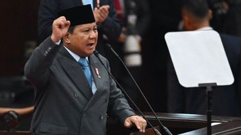 DPR hopes President Prabowo will emphasize support for Palestine at the BoP meeting