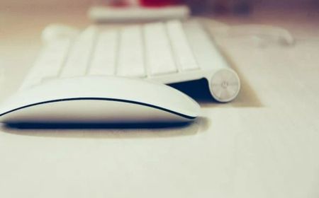 Penasaran dengan Cara Kerja Mouse? Simak Penjelasan Berikut