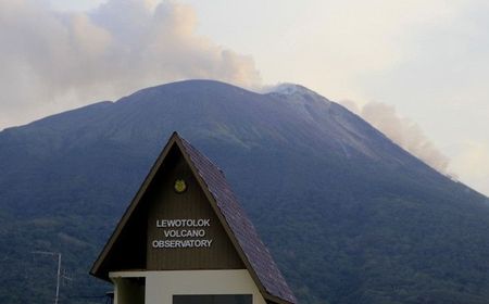 Gunung Ili Lewotolok Erupsi Lagi, Tinggi Kolom Abu hingga 800 Meter