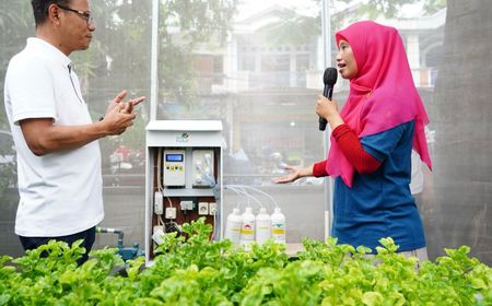 Olah Penampungan Sampah Jadi Smart Farming, Kelompok Wanita Tani Binaan PLN Mampu Hasilkan Ratusan Juta