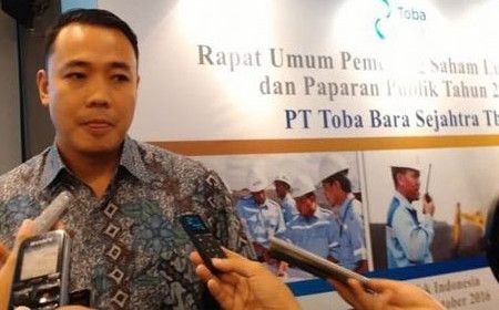 Asosiasi Produsen Listrik Curhat Pengembangan Pembangkit Listrik Tidak Bankable