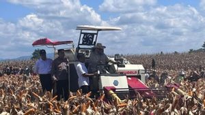 Presiden Prabowo Tunggangi Machine Kupas Corn Saat Panen Raya Di Bengkayang Kalbar