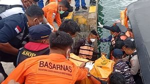 SAR Temukan 1 WNA Spanyol Usia 12 Tahun yang Hilang di Labuan Bajo