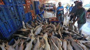 KKP Perkuat Produksi Perikanan Budi Daya Berbasis Teknologi