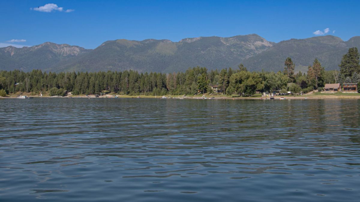 Pesawat Jatuh ke Waduk Montana, Pilot Pemadam Kebakaran Tewas