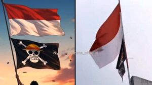 Fenomena Bendera One Piece Jelang HUT RI, Pengamat: Simbol Kritik Publik untuk Pemerintah