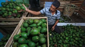 Kementan Memastikan Ketersediaan dan Harga Buah Tetap Stabil