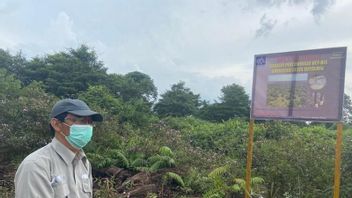 Perusahaan HTI Mengadakan Konservasi Buaya senyulong dan Harimau Sumatera 
