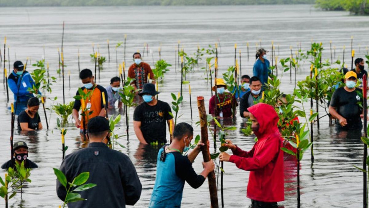 President Jokowi Participates In Mangrove Planting With Residents In Batam