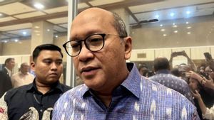 Enam Proyek Hilirisasi Danantara Mulai Jalan, Nilai Investasi Rp118 Triliun