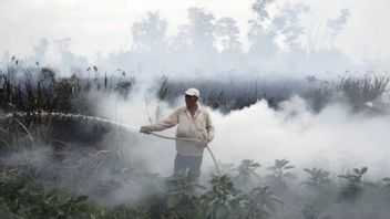 西カリマンタンの2,800万ヘクタールの泥炭が乾季に火災の危機にしています