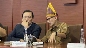 Presiden Tunjuk Luhut Jadi Ketua Pengarah Pengembangan Gim Nasional