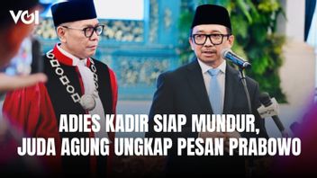 Adies Kadir Mundur Jika Ada Perkara Golkar di MK, Juda Agung Ungkap Pesan Presiden Prabowo