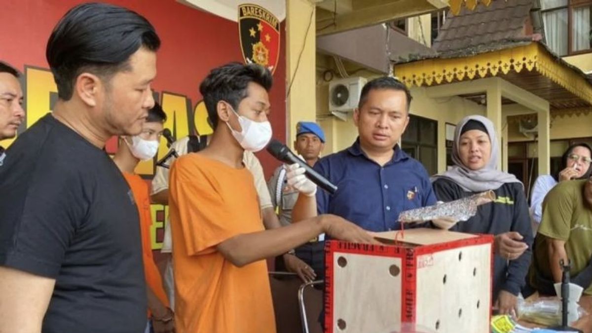 Polresta Pekanbaru Ungkap Kasus Narkoba Diselundupkan bersama Ayam Bangkok