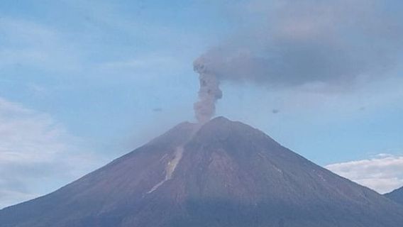 セメルー山が再び噴火し、高さは1.2kmに達する