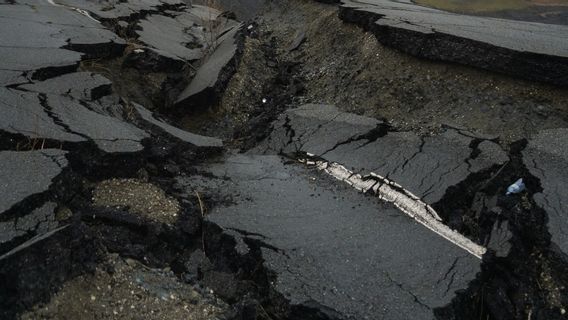 BMKG Note Que La Fréquence Des Répliques à East Flores Commence à Diminuer