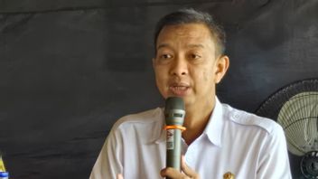 Bawang Bombay Mini Ilegal Bikin Nasib Petani di Brebes Terpuruk