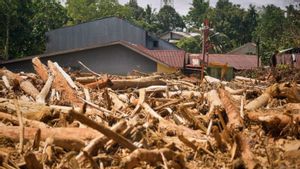 Kemenhut Izinkan Kayu Hanyut Dimanfaatkan untuk Kebutuhan Darurat Pemulihan Bencana