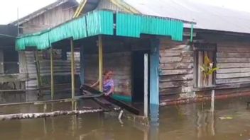 卫生官员为马杰内洪水灾民提供流动服务