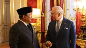 Prabowo dan Raja Charles III Bahas Kerja Sama Konservasi Gajah Sumatra