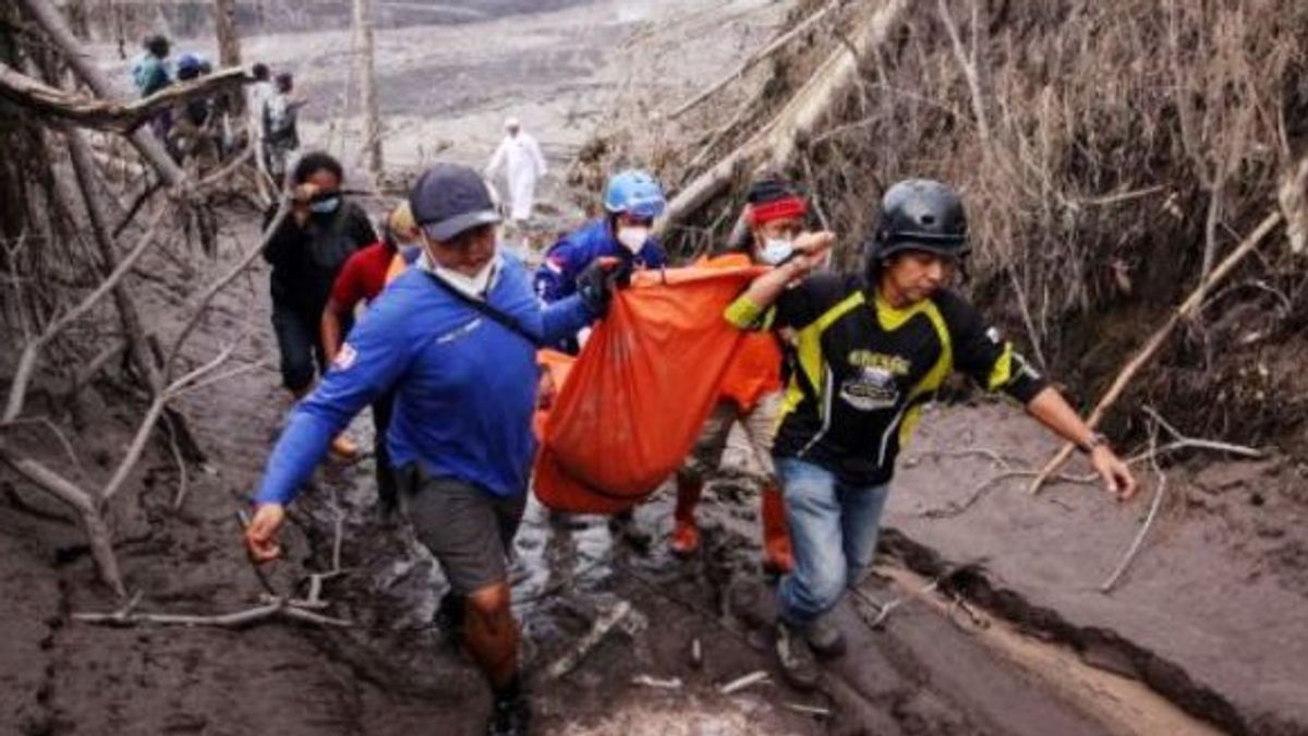 تحديث عن ضحايا ثوران جبل سيميرو 10 ديسمبر، ريال سعودي: الضحايا يصبحون 43 شخصا