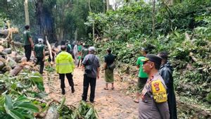 Tourist Dies In Monkey Forest, DPR Member Siti Mukaromah Asks Tourism Managers To Ensure Safety Standards