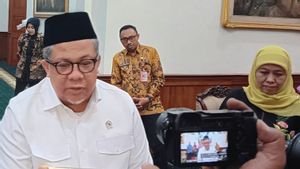 Temui Khofifah, Wamen Fahri Hamzah Bahas Renovasi 2 Juta Rumah