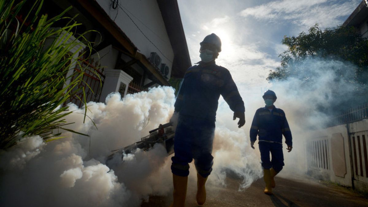 Dinkes a enregistré 750 cas de dengue à Bogor depuis le début de 2024, 4 morts