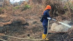 57,7 Hektare Karhutla Melanda Aceh Barat, 41,4 Hektare Berhasil Ditangani