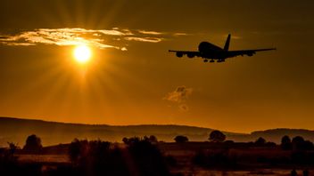 Viral Couple Gets Married On An Airplane To Avoid COVID-19 Restrictions