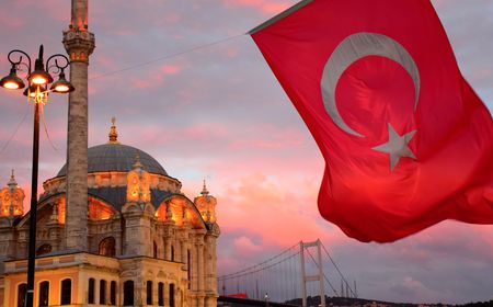 Jurnalis Swedia yang Dipenjara di Turki Saat Liput Demo Penangkapan Wali Kota Istanbul Dibebaskan