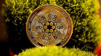 Cardano, The Most Growing Crypto Asset Among Other Cryptocurrencies