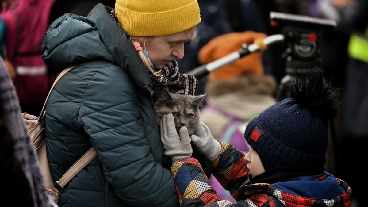 Dog Therapy Becomes Entertainment For Children Traumatized By Russia's War With Ukraine