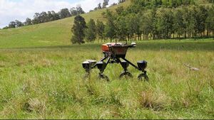 SwagBot: A Sophisticated Robot That Prevents Land Damage