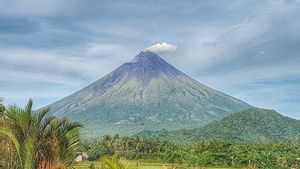 Tim SAR Filipina Berjudi dengan Maut, Mendaki Gunung Berapi Aktif Demi Temukan Pesawat Cesna yang Jatuh