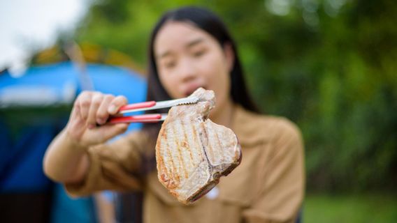 猫王饮食何时停止?以下是需要注意的7个迹象