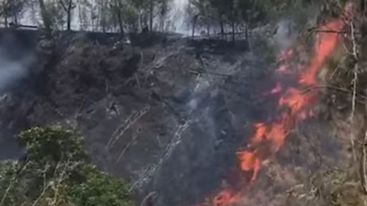 Laporan Sementara TNGR, Luas Areal Terbakar Gunung Rinjani Capai 55 Hektare