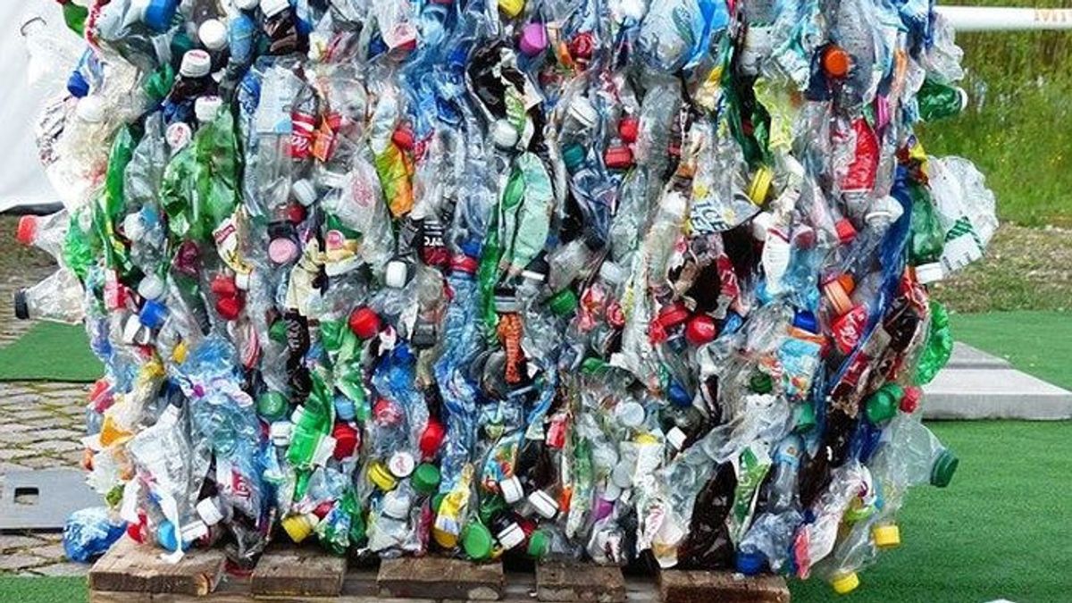 City Government Issues SE Prohibition Of Supermarkets For Plastic Bags, Starting To Apply In 2025