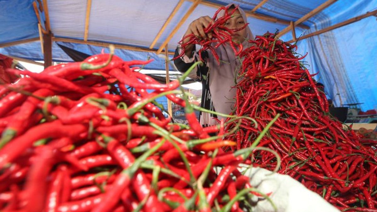 Chili Prices In Bengkulu Soared, Limited Stock