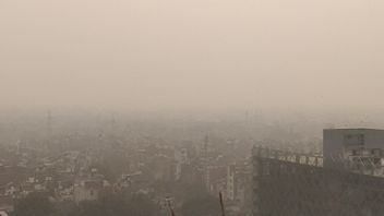 New Delhi Covered With Smoke: Air Quality Index Is Dangerous, Schools Are Closed